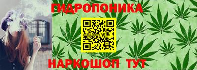 СК Прокопьевск