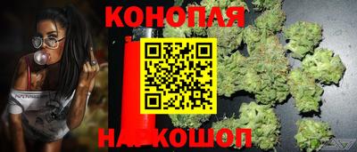 СК Прокопьевск