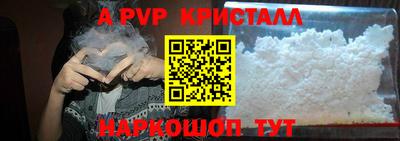 СК Прокопьевск