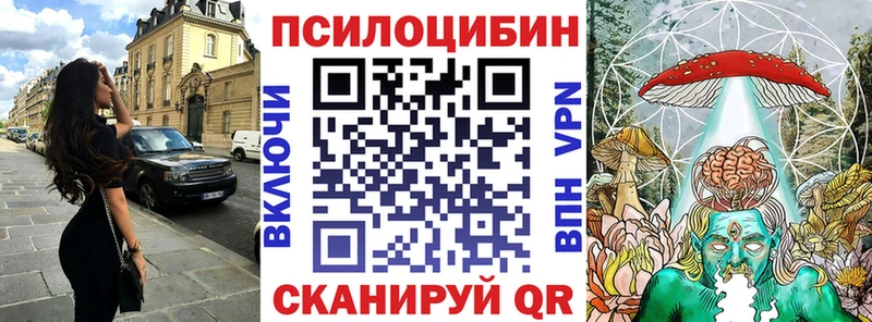 дарк нет формула  Белово  Псилоцибиновые грибы мицелий 