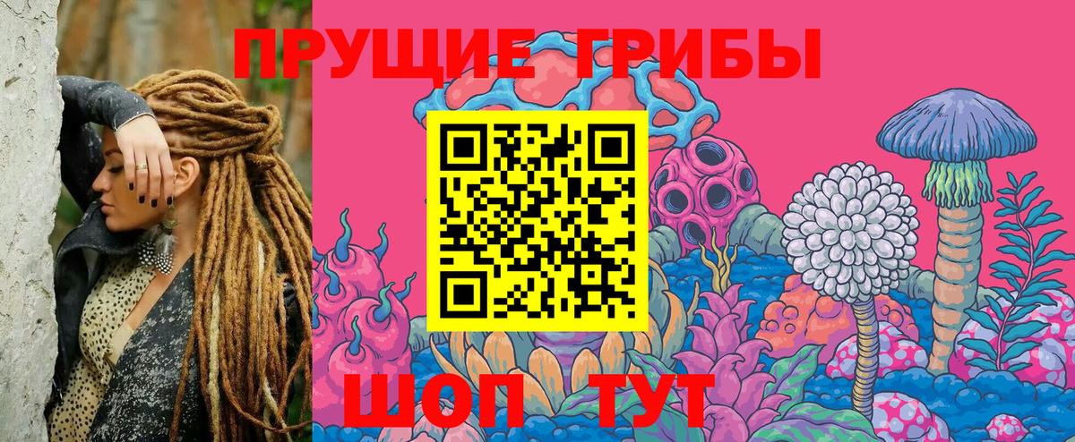 купить наркотики сайты  Вход с VPN  Псилоцибиновые грибы Magic Shrooms  Белово  Псилоцибиновые грибы Cubensis 